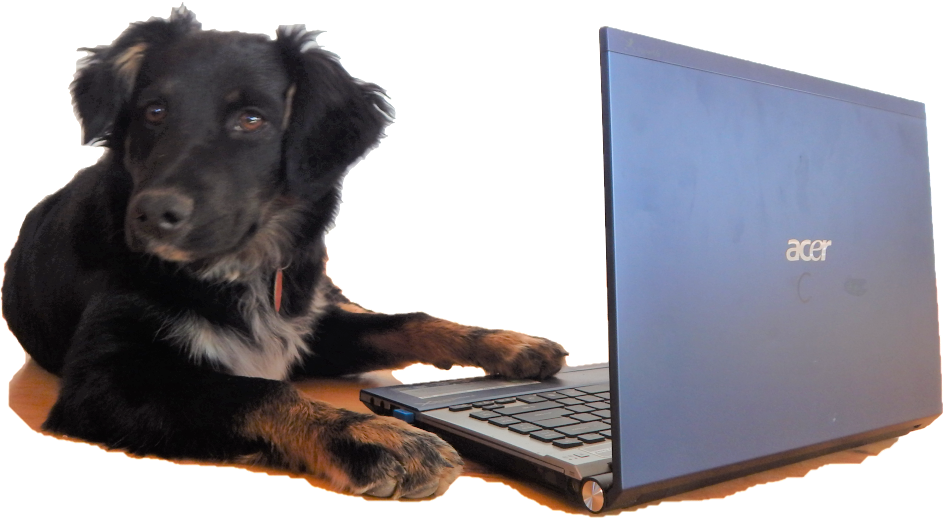 This image has an empty alt attribute; its file name is Puppy-On-Computer-Transparent-small-1.png
